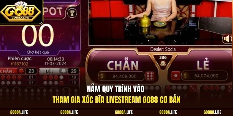 Nắm quy trình vào tham gia xóc đĩa livestream GO88 cơ bản